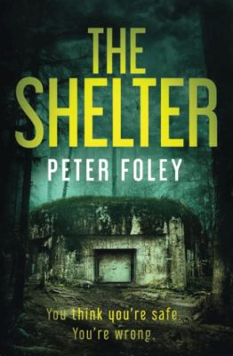 Take Shelter! A gripping psychological thriller exploring mental illness and impending doom!